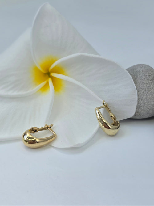 Emma Classic Small Hoop Earrings