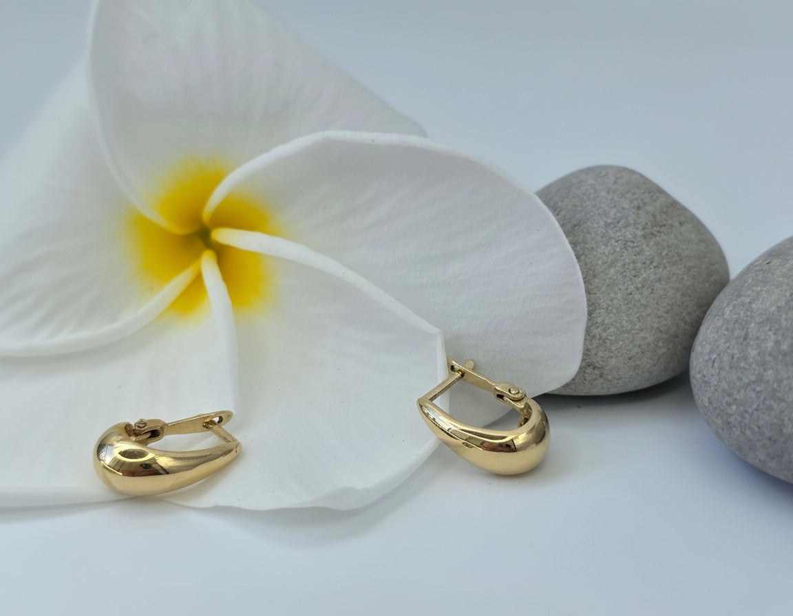 Emma Classic Small Hoop Earrings