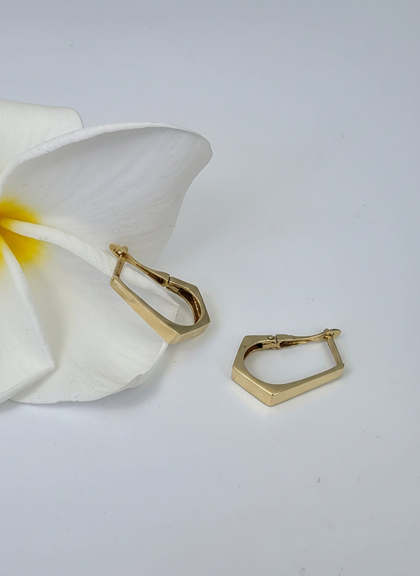 Modern Geometric Huggie Hoop Earrings