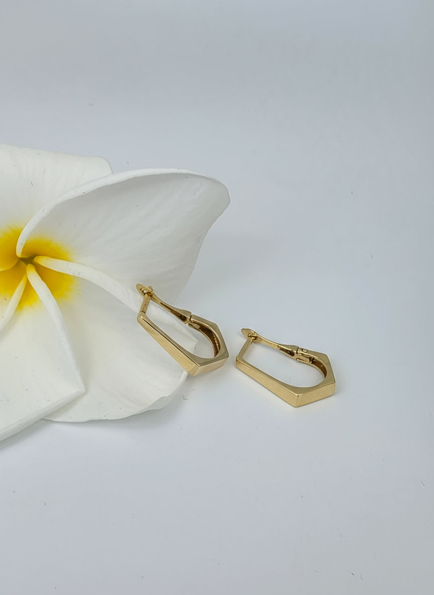 Modern Geometric Huggie Hoop Earrings