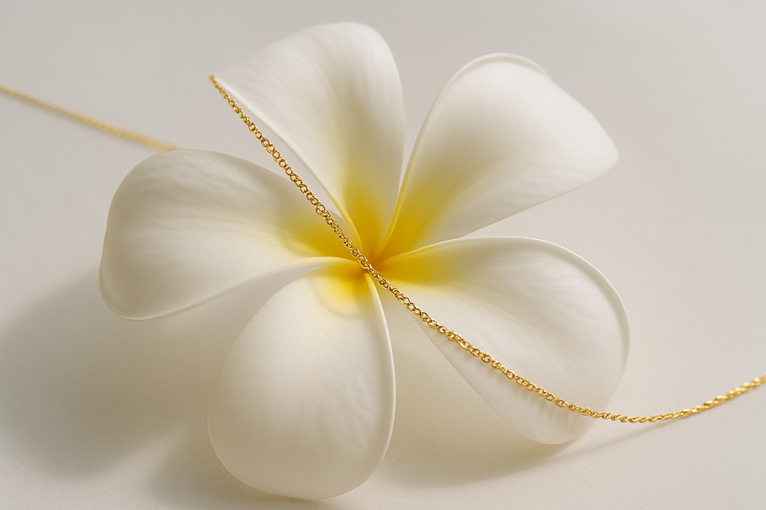 שרשרת עדינה מזהב על פרח לבן פלומריה