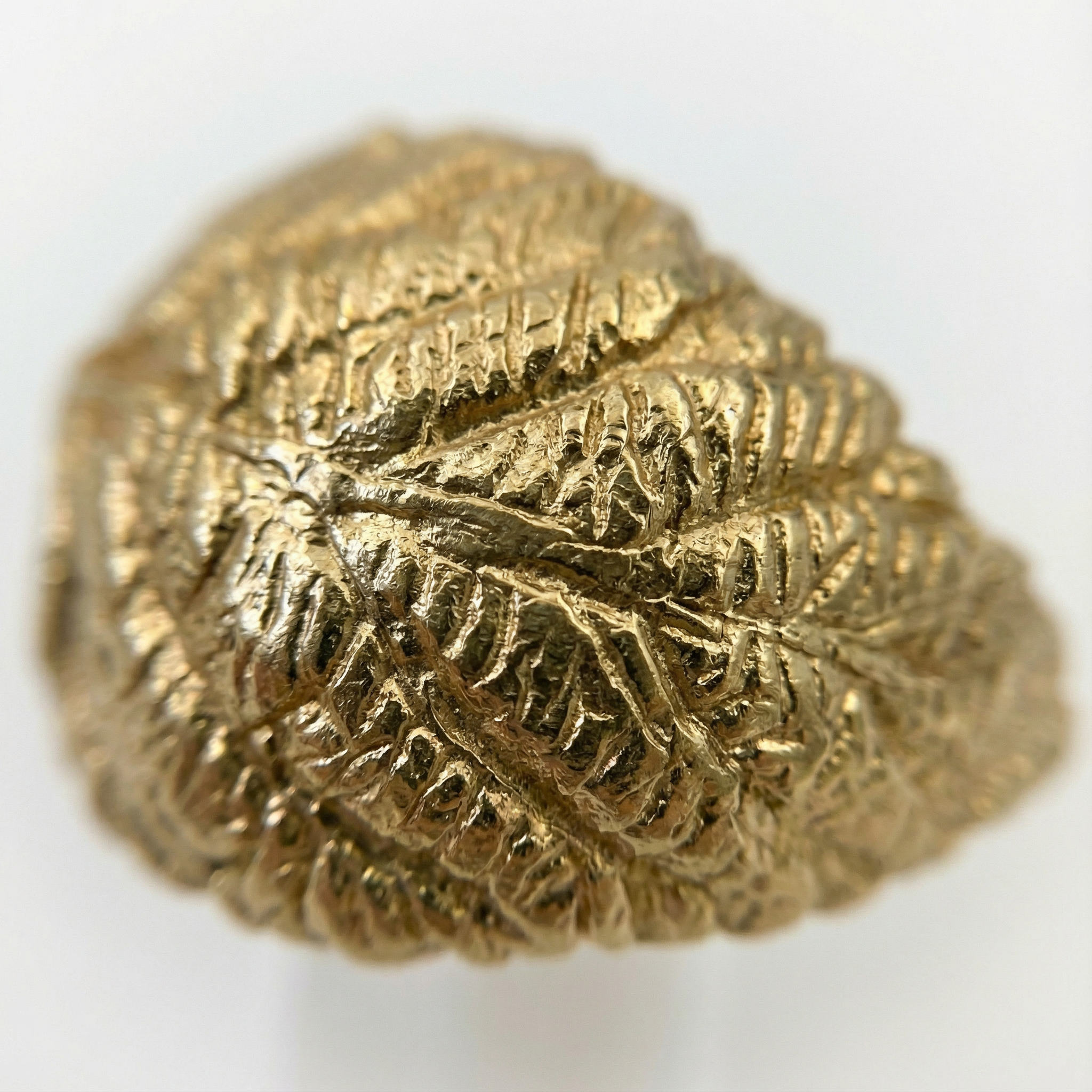 Botanical Leaf Stud Earrings